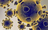 Pandemia de coronavírus faz Globo bate recordes