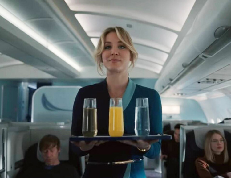 the flight attendant critica