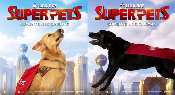 Superpets dentro e fora das telonas: Cães-guia protagonizam ação de lançamento da nova animação