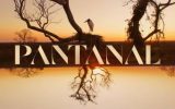 Audiência do ultimo capitulo da novela Pantanal