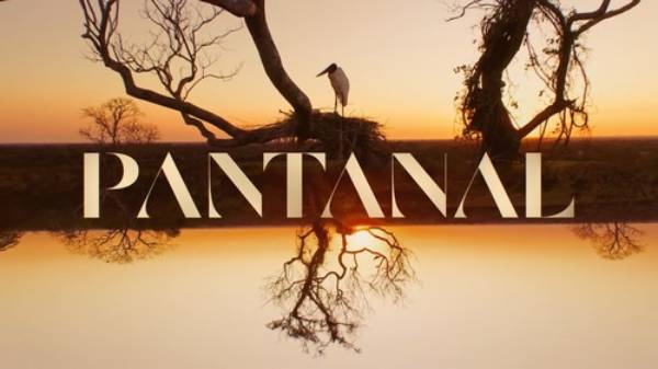 Audiência do ultimo capitulo da novela Pantanal