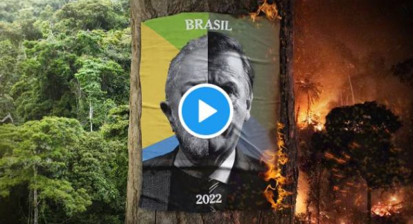 New York Times publica vídeo em apoio a Lula