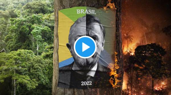 New York Times publica vídeo em apoio a Lula