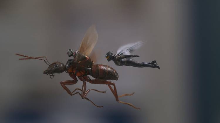 homem-formiga e a vespa
