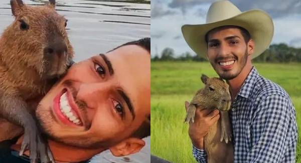 capivara filo